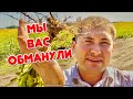 ПРОСТИТЕ, МЫ ПОКАЗАЛИ НЕ ВСЕ …