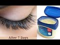 How To Grow Long Eyelashes Fast with Vaseline in 7 Days || Eyelashes Growth with Vaseline