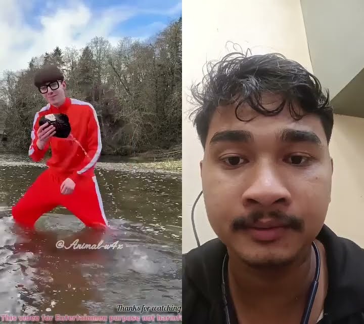 #facts #funny #animals #shortfeed #virelvideo #factvideo #shortvideo # ...