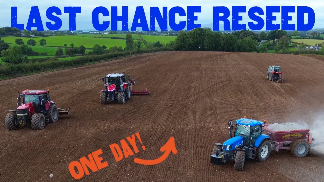 Гонки под дождём: последний перепосев 2025 года — всё за один день!