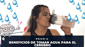 ¿Es buena el agua para el cerebro?