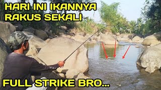 Serasa Mancing di Kolam Ikannya Rakus Sekali #LM22