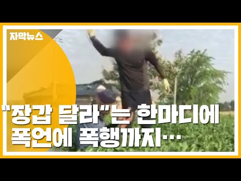   자막뉴스 장갑 달라는 외국인 노동자에게 폭언에 주먹질까지 YTN