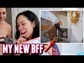 SPYING on our front door - itsjudyslife