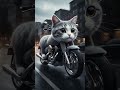 CAT 🐈 AI animation cat become cat car 🚗 and helicopter 🚁