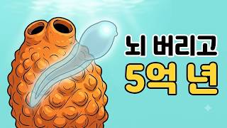 태어나자마자 뇌를 먹어치우는 생명체, 멍게가 스스로 자신의 몸을 파괴하는 이유