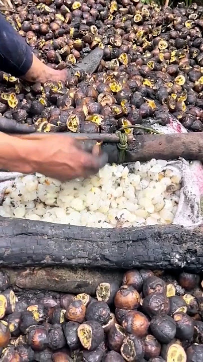 proses pengolahan buah kolang kaling #kolangkaling #fruit