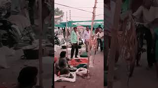 Raja #Ji ki Rani#bhojpurimusic# #whatsapp #status