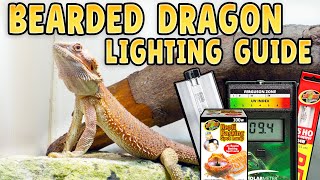 Beginner Guide to Bearded Dragon Lights and Heat!