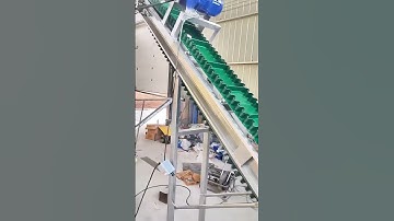 Băng tải tai bèo vận chuyển chắc chắn, tiết kiệm chi phí và nâng cao năng xuất #xuhuongyoutube #fyp