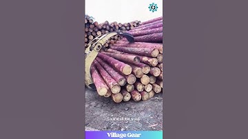 This Log Grapple is a BEAST! Watch it Handle TONS of Wood! #logging #heavymachinery #powerful