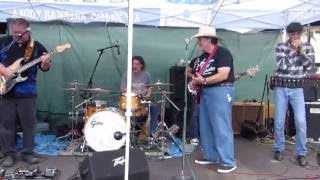 Phil Petroff, Midnight Mike Petroff, Creamo Liss, Lenny Milano, Mark Hoffmann - Born in Chicago