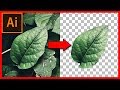 How to cut out an image / object in Illustrator CC 2018