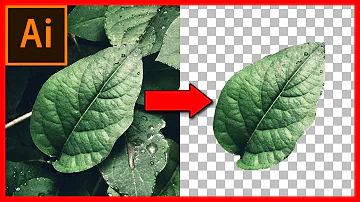 Come ritagliare un file JPG?