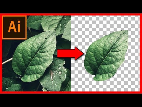 Vídeo: Com Retallar Una Imatge A Illustrator