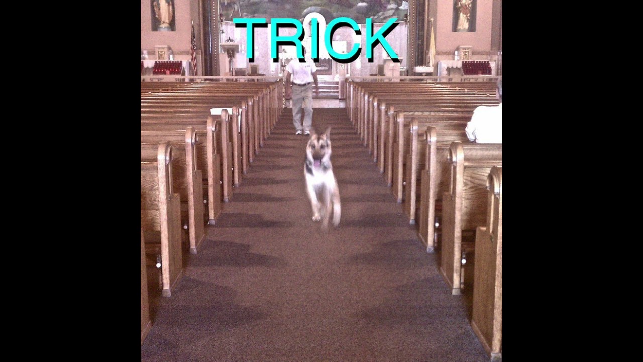 Alex G - trick (2012) full album