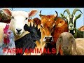 For kids 20 different farm animals with natural sounds  no music for little children