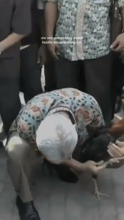 story wa bapak Ganjar#shorts #ayam #ganjarpranowo