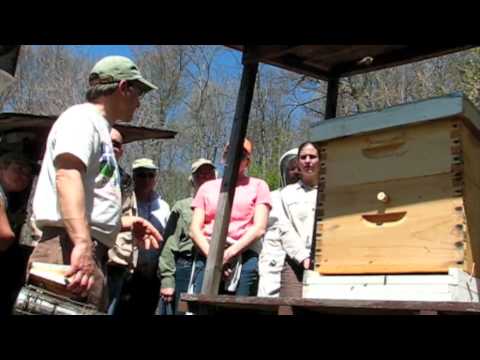 Organic Beekeeping Pfeiffer Center 2009