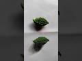 Realistic Drawing Of Vegetable Art Drawing Shorts Subscribe 3d Vegetables 
