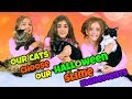 Cats Choose Our Halloween Slime Ingredients Challenge!