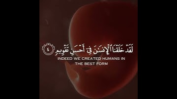 سورة التين بصوت "ياسر الدوسري" 🤍