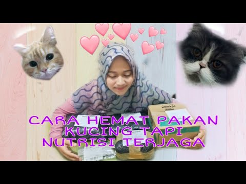 Video: Pemakanan Kucing: Panduan Untuk Nutrien Makanan Kucing