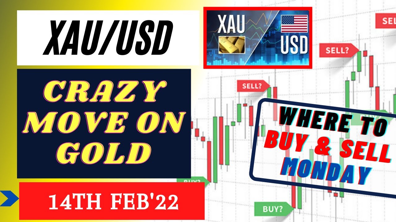 eosusd New XAUUSD Strategy MONDAY 14 FEB | XAU USD Analysis MONDAY 14 FEB | XAUUSD Forecast MONDAY 14 FEB