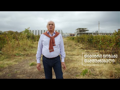 კორპორაცია ქართული ღვინო - ს დამფუძნებელი დიმიტრი ნოზაძე/Dimitri Nozadze - The founder of CGW