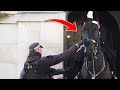 🔴WATCH: MAGNIFICENT Q-10 One Of The Tallest Horse Of  The King&#39;s Guard!😳