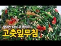 고춧잎나물무침 만들기_비타민A, 비타민C가 풍부한 고춧잎! 여름 나물 반찬으로 최고예요!