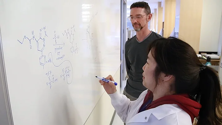 UNC Research | Vice Chancellor for Research Terry ...