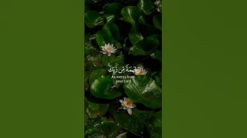 (رحمةً من ربك) ماتيسر من سورة الدخان للقارئ الشيخ ياسر الدوسري
