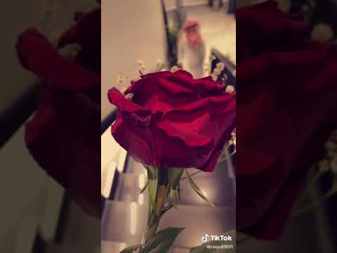 ليتك تعرف تصاميم شيلات قصيرة تصميم ستوريات انستقرام شيلات حزينة حالات وتس اب بدون حقوق