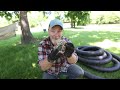 Middle of video