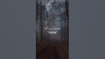 الذين صبروا وعلى ربهم يتوكلون|تلاوة هادئة للقارئ عبد الرحمن مسعد     #عبدالرحمن_مسعد
