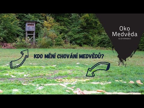 Video: Slovanský Zvířecí Horoskop: Medvěd