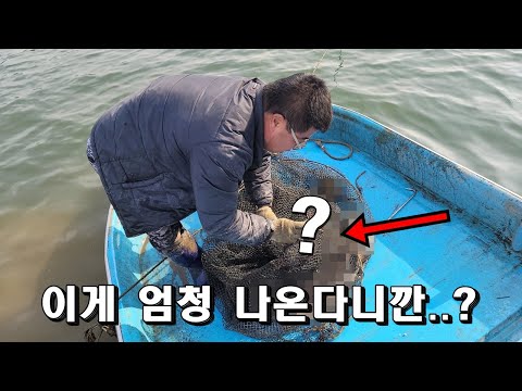 대물들이 가득한 임진강!! 북한과 연결된 강에서는 어떤 생물들이 잡힐까요?