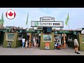 Toronto zoo walking tour 2023 all animals  part 1