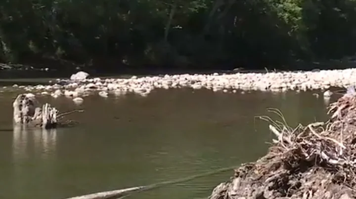 Vancouver Island rivers, creeks will slow as dry weather continues