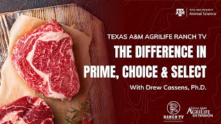 Celebrity What are the differences between Prime, Choice and Select Steaks? Net Worth
