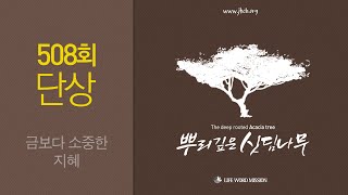 뿌리깊은 단상 508회 (금보다 소중한 지혜)