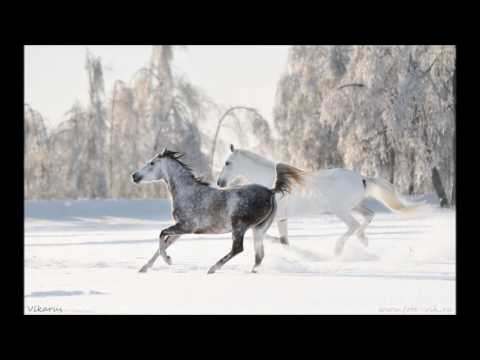 Polyushka Polye