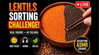 🔴 LIVE | Lentil Sorting ASMR | Sleep Sounds | No Talking | 4K #lentilssorting