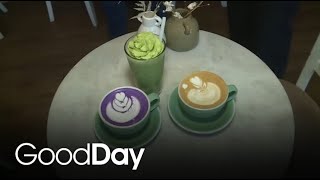 Serving up Valentine's Day-inspired drinks at Seasons Coffee Roasters