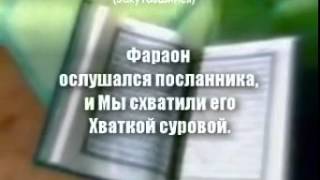 73 Закутавшийся