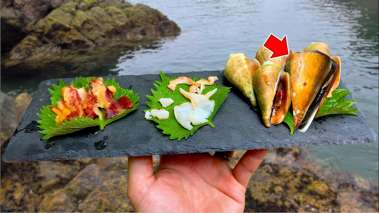 超豪華!海で採れる生物のポテンシャルが凄い!でもイモガイには気を付けろ! #マガキガイ #イモガイ