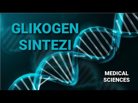 Video: Qlikogenin sintezində hansı nukleozid trifosfatdan istifadə olunur?