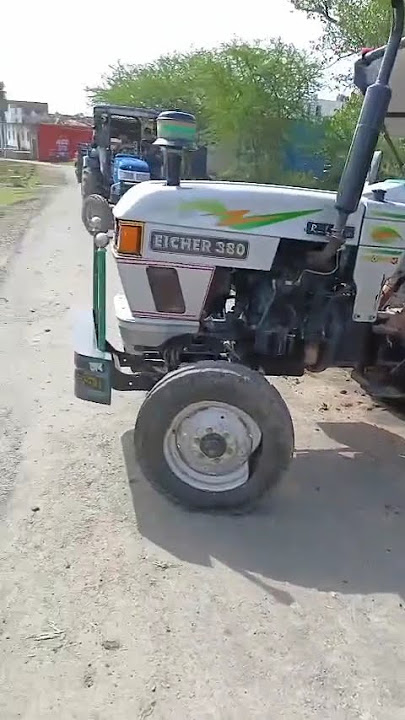 tarli ka gila tota gay