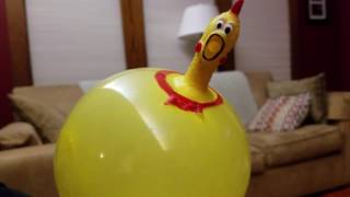 Rubber Chicken Strikes Back